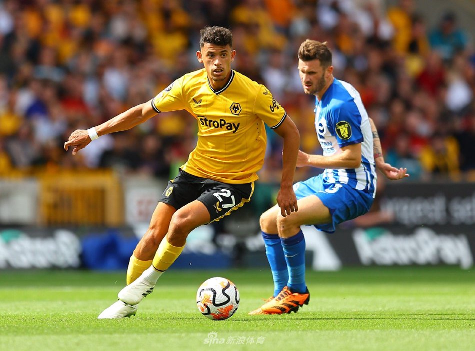 位的实力 位的实力