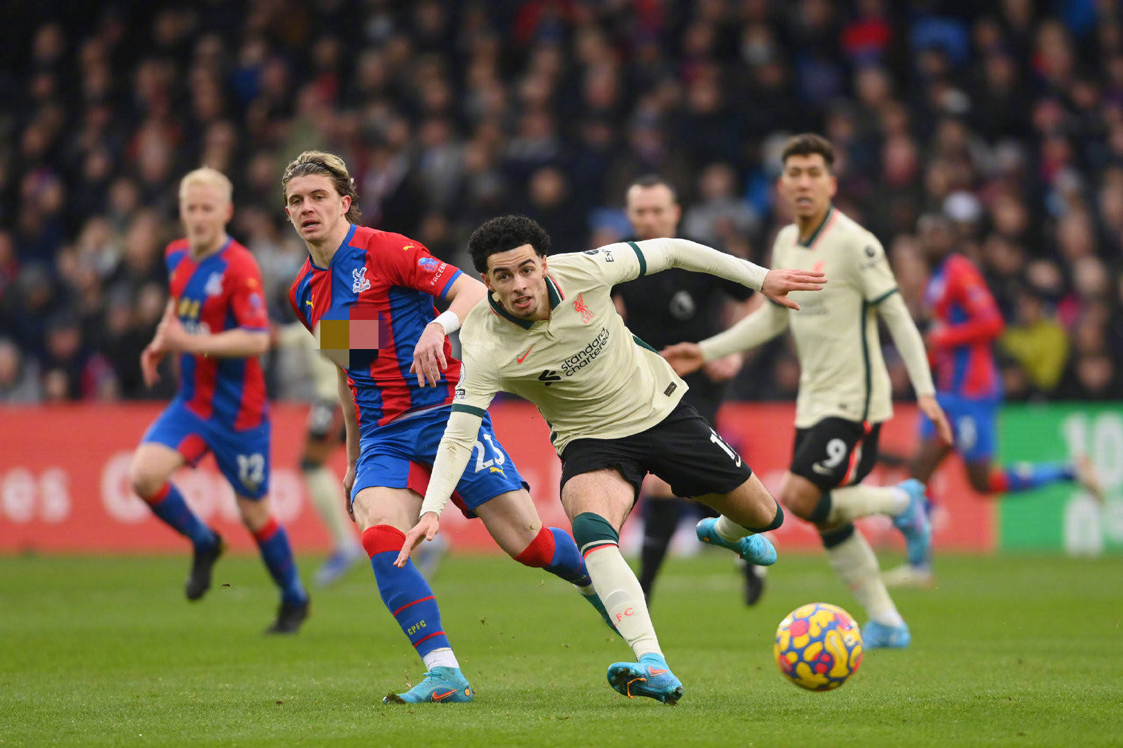 法律认识和 法律认识和