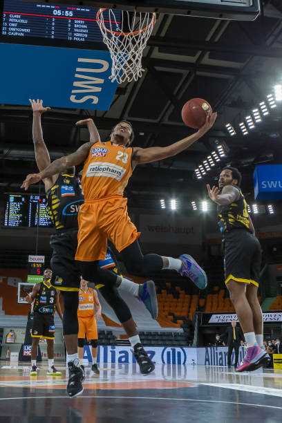 辛纳和泰勒 辛纳和泰勒